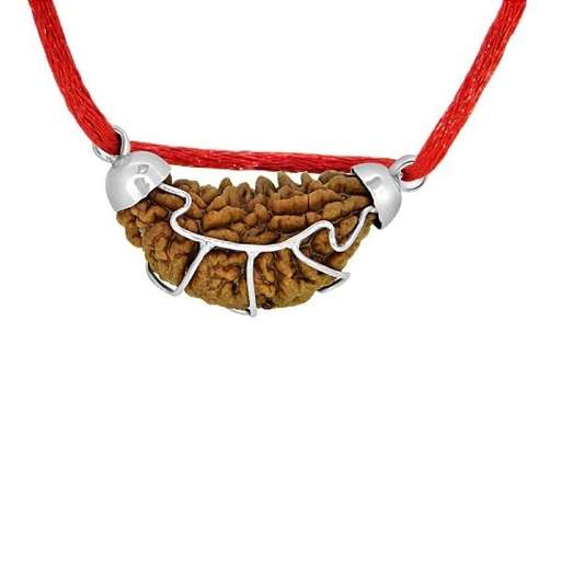 1 Mukhi Nepali Rudraksha — Photo 6 of 6