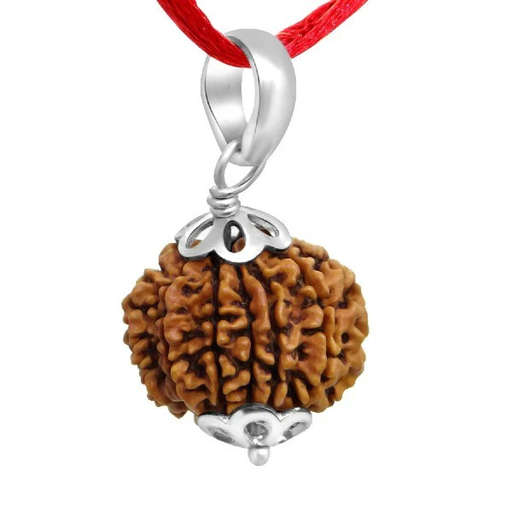 11 Mukhi Nepali Rudraksha — Photo 4 of 7