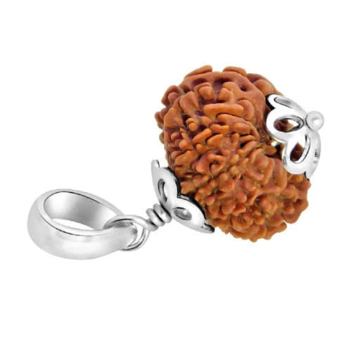 13 Mukhi Nepali Rudraksha — Photo 3 of 9