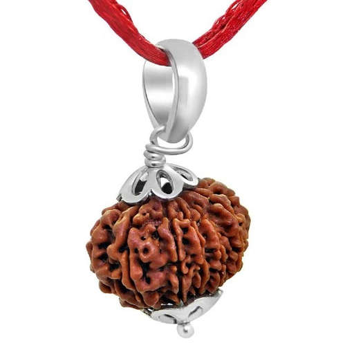 13 Mukhi Nepali Rudraksha — Photo 4 of 9
