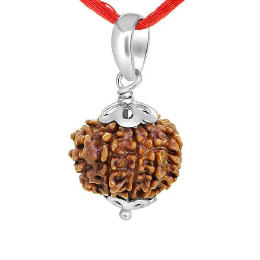 13 Mukhi Nepali Rudraksha — Photo 7 of 9