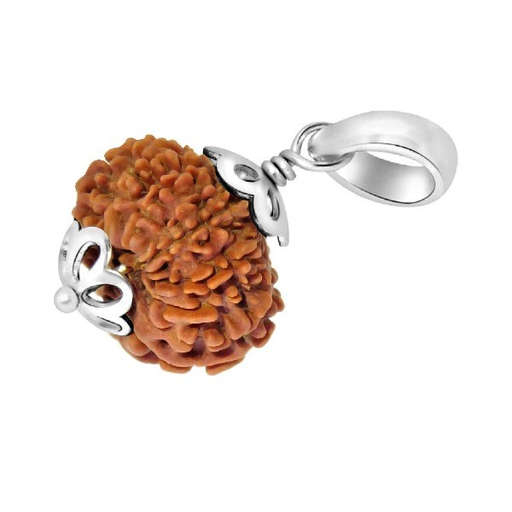 13 Mukhi Nepali Rudraksha — Photo 8 of 9
