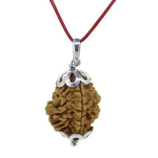 2 Mukhi Nepali Rudraksha — Photo 2 of 8