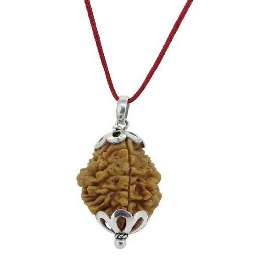 2 Mukhi Nepali Rudraksha — Photo 3 of 8