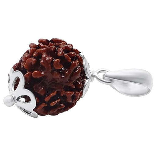 3 Mukhi Nepali Rudraksha — Photo 2 of 5