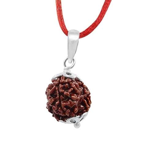 3 Mukhi Nepali Rudraksha — Photo 3 of 5