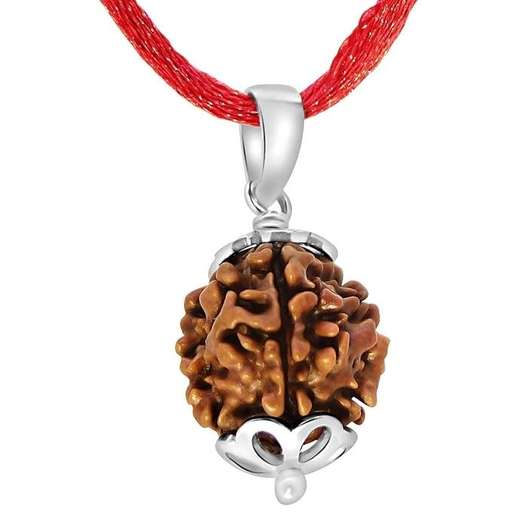 4 Mukhi Nepali Rudraksha — Photo 2 of 8