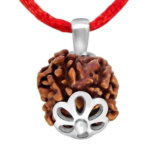 4 Mukhi Nepali Rudraksha — Photo 5 of 8