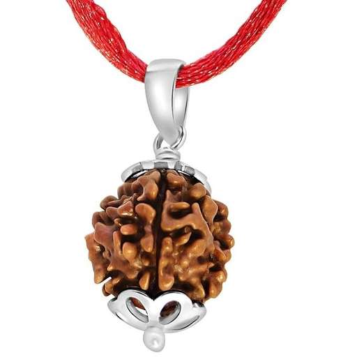 4 Mukhi Nepali Rudraksha — Photo 6 of 8