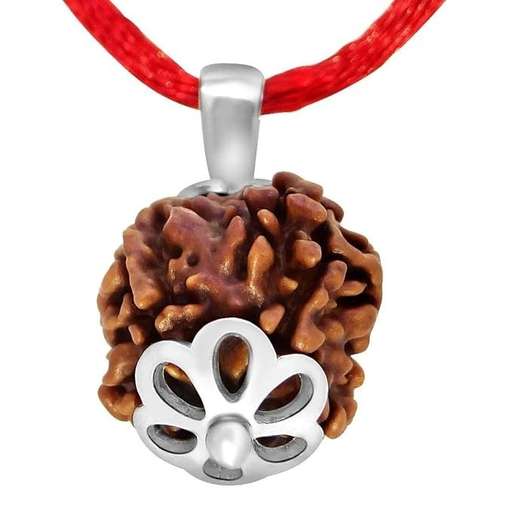 4 Mukhi Nepali Rudraksha — Photo 8 of 8