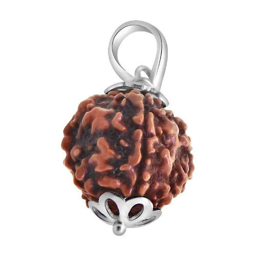 5 Mukhi Nepali Rudraksha — Photo 1 of 8