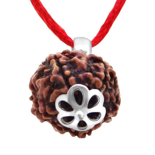 5 Mukhi Nepali Rudraksha — Photo 3 of 8