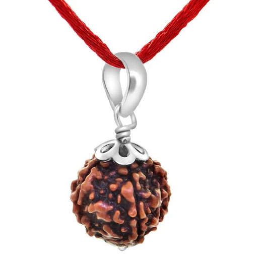 5 Mukhi Nepali Rudraksha — Photo 4 of 8