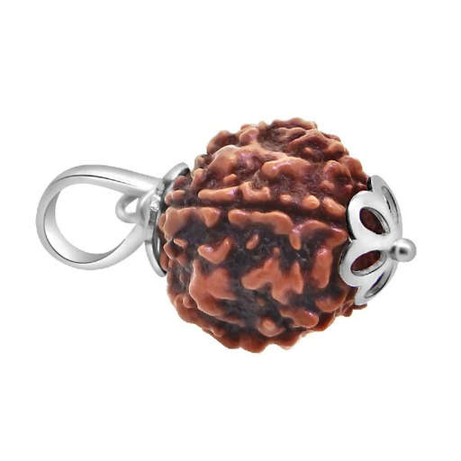 5 Mukhi Nepali Rudraksha — Photo 5 of 8