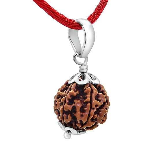 6 Mukhi Nepali Rudraksha — Photo 4 of 9