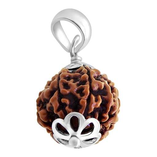 6 Mukhi Nepali Rudraksha — Photo 5 of 9