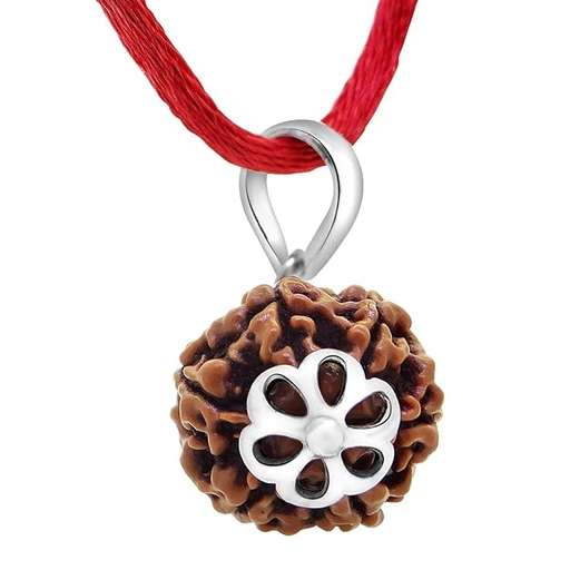 6 Mukhi Nepali Rudraksha — Photo 6 of 9