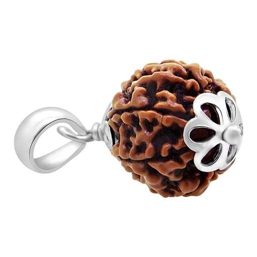 6 Mukhi Nepali Rudraksha — Photo 8 of 9