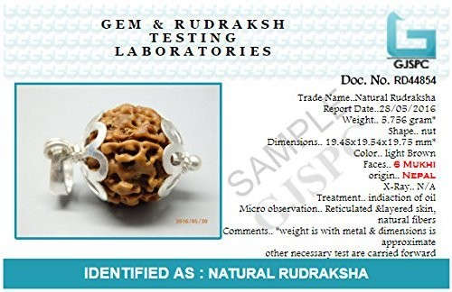 6 Mukhi Nepali Rudraksha — Photo 9 of 9
