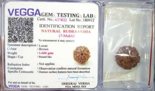 7 Mukhi Nepali Rudraksha — Photo 4 of 8