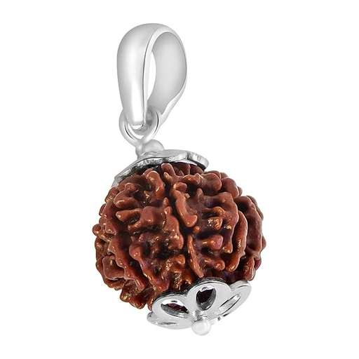7 Mukhi Nepali Rudraksha — Photo 6 of 8