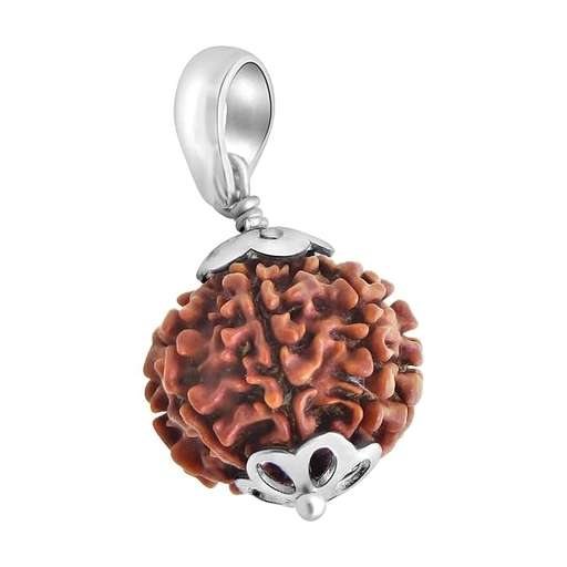 8 Mukhi Nepali Rudraksha — Photo 3 of 8