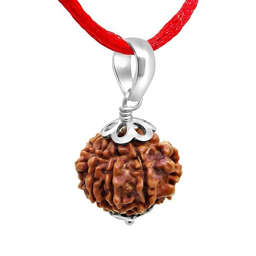 8 Mukhi Nepali Rudraksha — Photo 7 of 8