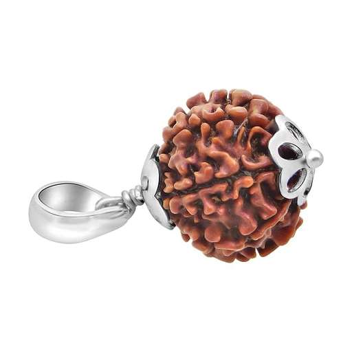 8 Mukhi Nepali Rudraksha — Photo 8 of 8
