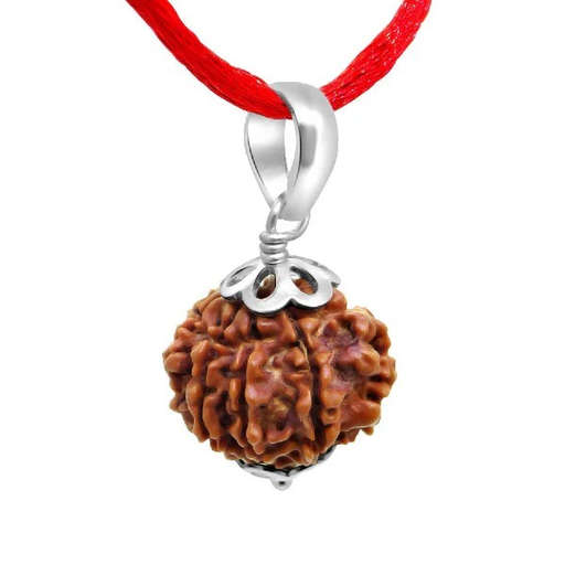 9 Mukhi Nepali Rudraksha — Photo 1 of 9