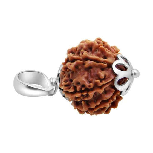 9 Mukhi Nepali Rudraksha — Photo 3 of 9