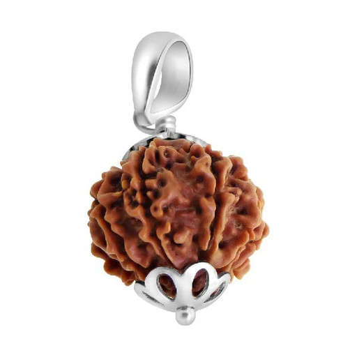 9 Mukhi Nepali Rudraksha — Photo 4 of 9