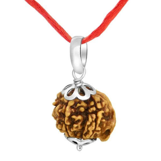 Ganesh Nepali Rudraksha — Photo 1 of 7