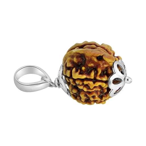 Ganesh Nepali Rudraksha — Photo 6 of 7
